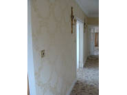 Painting & Decorating Example